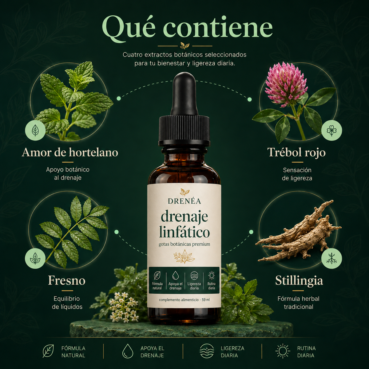 Qué contiene DRENÉA: amor de hortelano, trébol rojo, fresno espinoso y stillingia